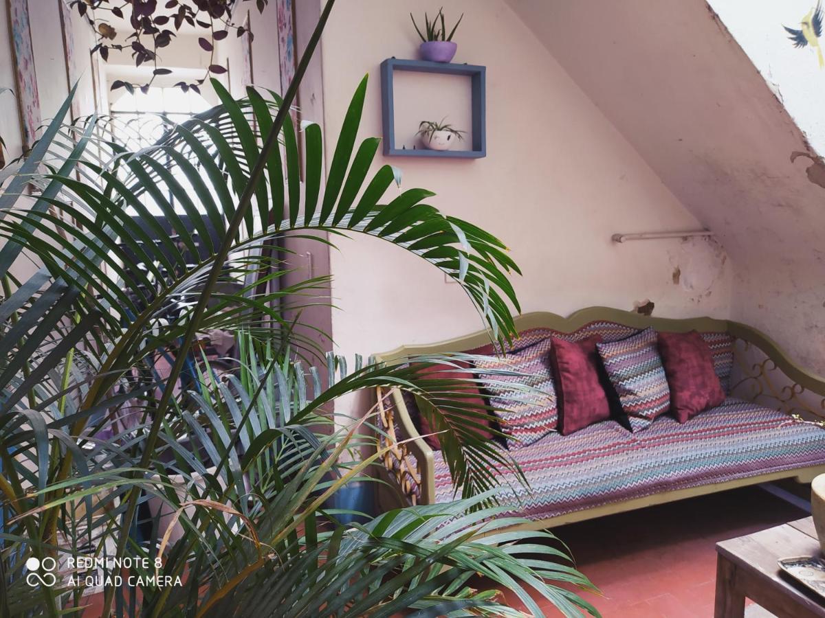 Casa Atenas (Adults Only) غوادالاجارا المظهر الخارجي الصورة